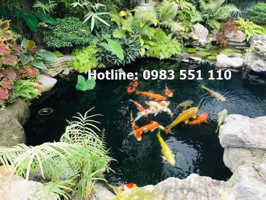 Thiết kế thi c&ocirc;ng tiểu cảnh s&acirc;n vườn tại Mai Sơn